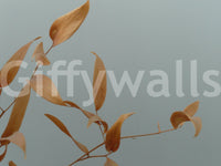 Minimalist leaf pattern wallpaper for a dining room.