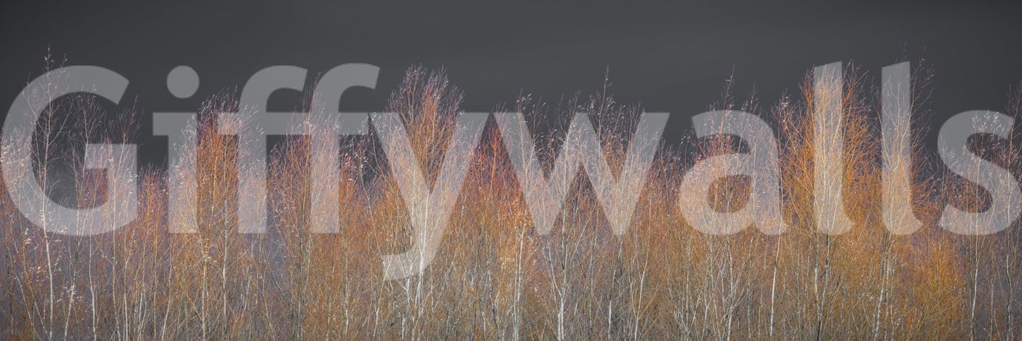 The image is suitable for a bedroom or a living space.