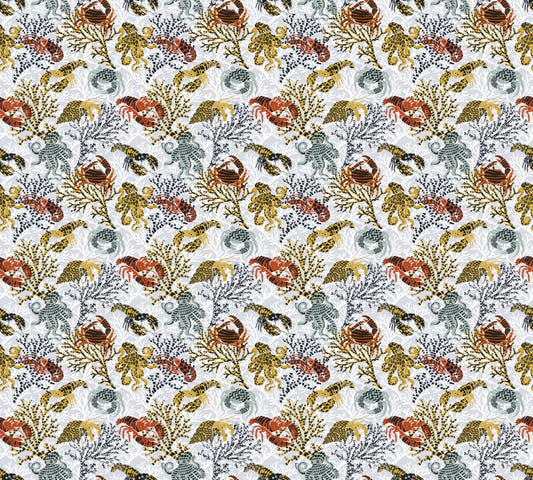 coral reef underwater life wallpaper