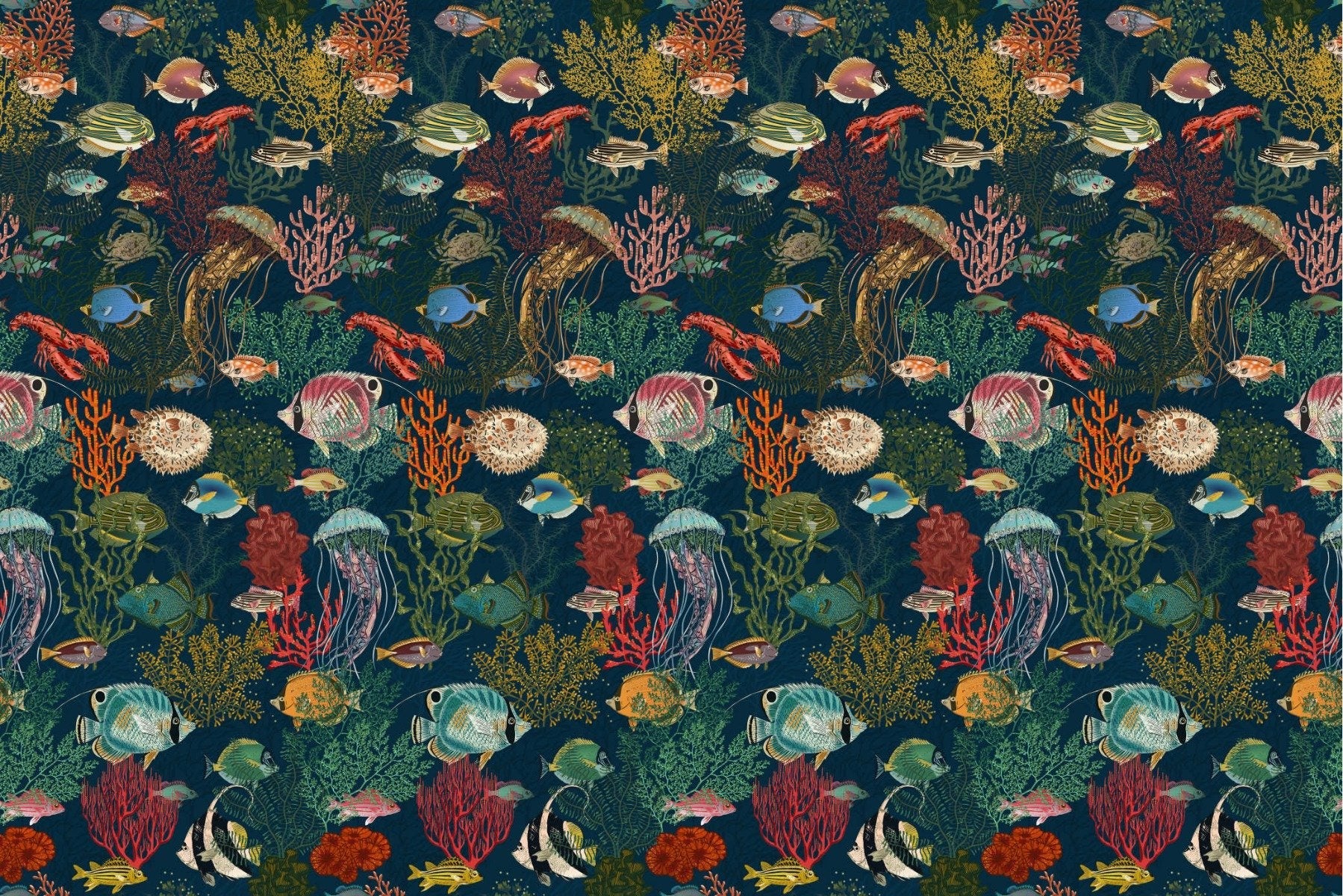 Enchanting Marine Life Wallpaper