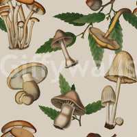 Woodland sketch layout in Ancient Forest Mushrooms wallpaper