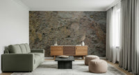 Textured wallpaper mural highlighting fossilized shell patterns

