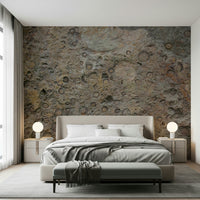 Bedroom feature wall with intricate fossil texture wallpaper


