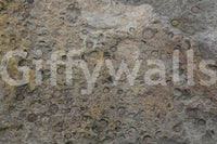 Rustic interior enhanced by fossil texture peel and stick wallpaper

