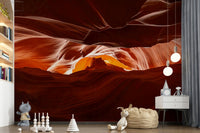 Antelope's Embrace Wall Mural featuring a soft wildlife scene for a nursery wallpaper.