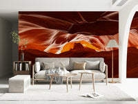 Elegant nature-themed wallpaper for a minimalist guest room wall mural.