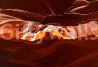 Antelope's Embrace Wall Mural highlighting delicate linework for a creative studio wallpaper.