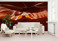 Minimalist animal portrait wall mural for a contemporary home office wallpaper.