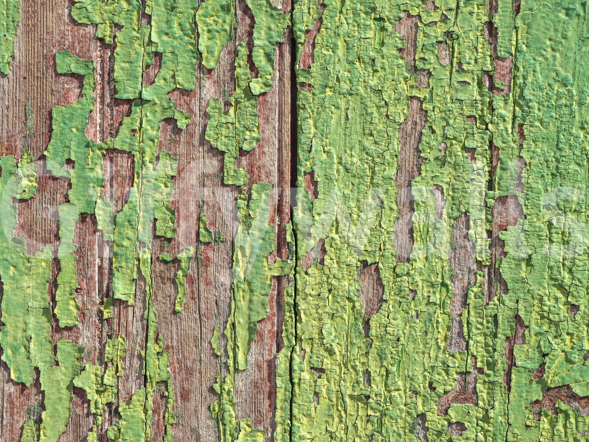 Old wooden panel mural with green finish