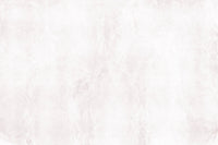 A high-quality minimalist wall mural for walls.

