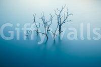 A high-quality abstract print wall mural for walls.
