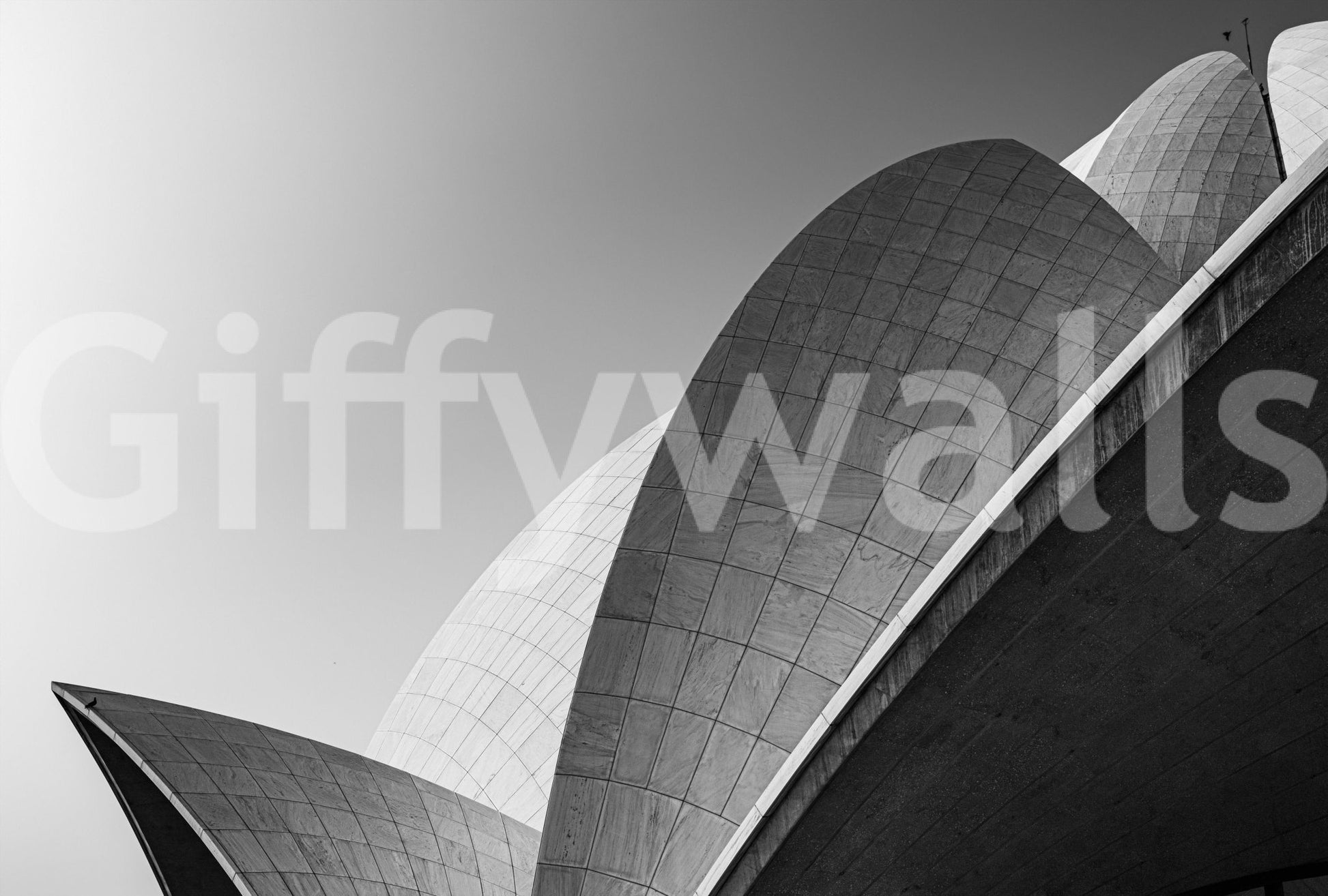 A high-quality abstract print wall mural for walls.