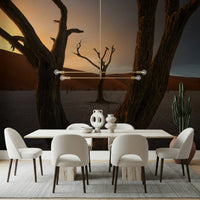 Namibian Arid Woodland Ghost wallpaper, cracked earth, intense colorful sky., GD6938