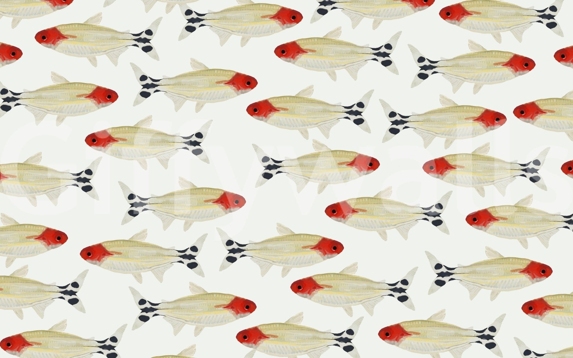 Asperum Wall Mural