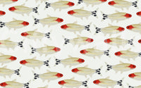 Asperum Wall Mural