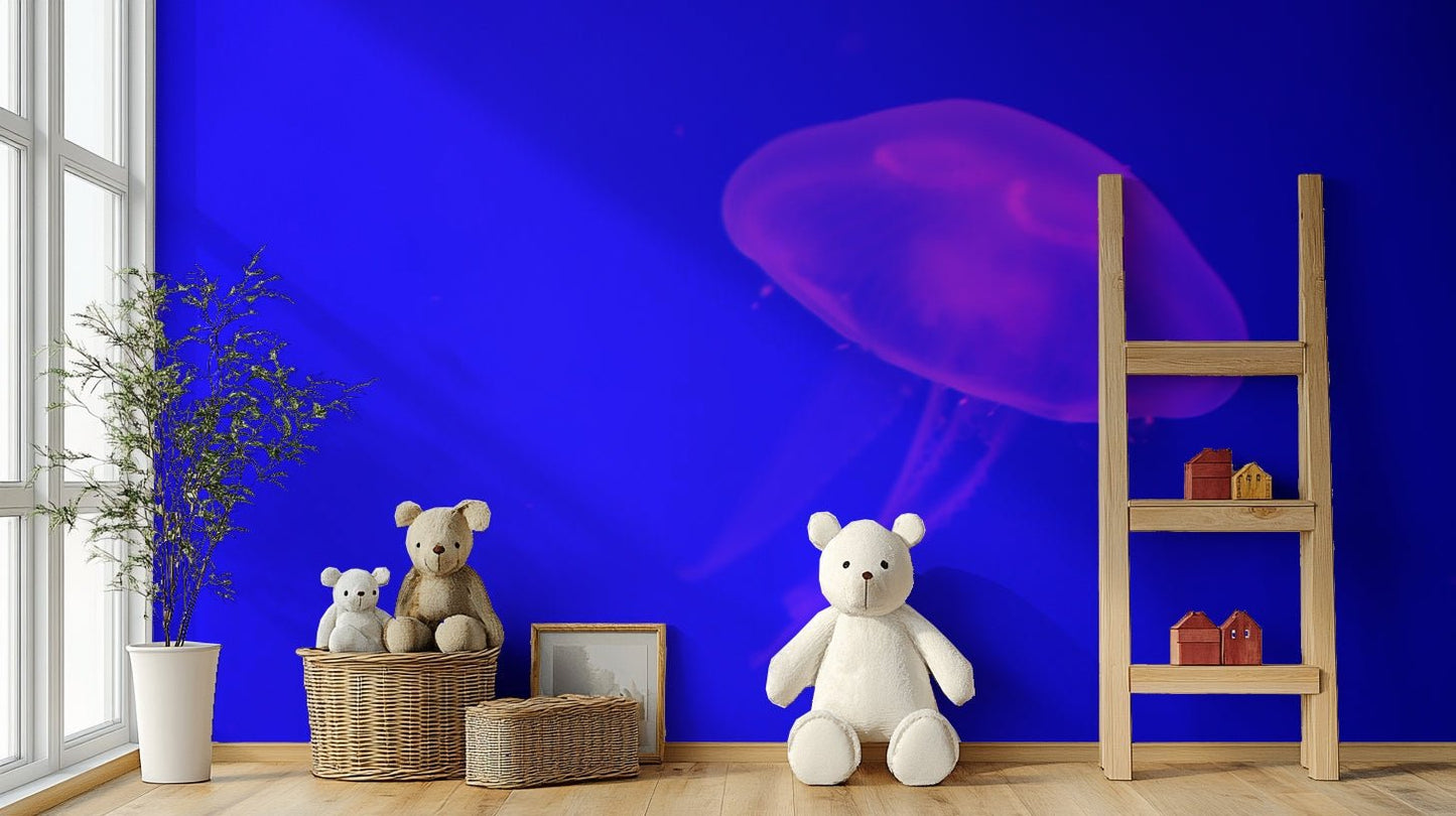 A contemplative marine life wallpaper mural for a feature wall.

