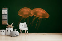 A contemplative marine life wallpaper mural for a feature wall.

