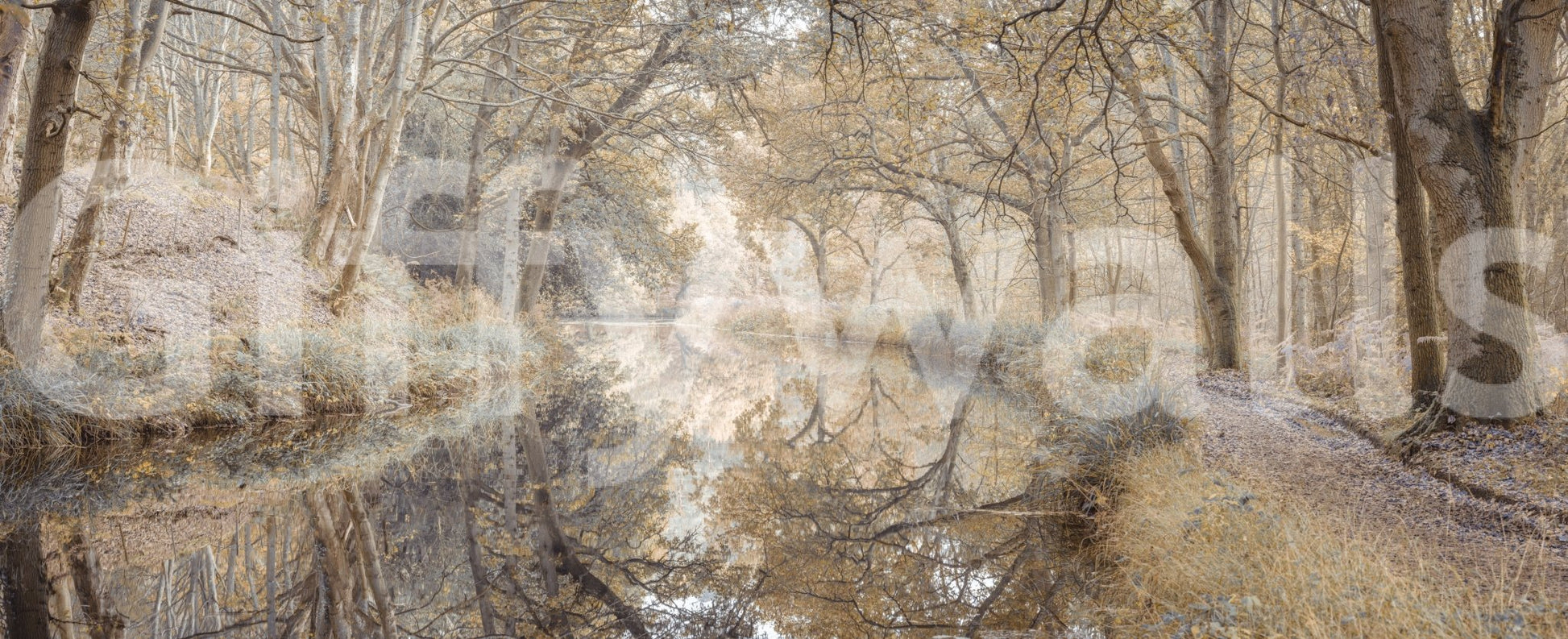 Autumn landscape wallpaper with water

