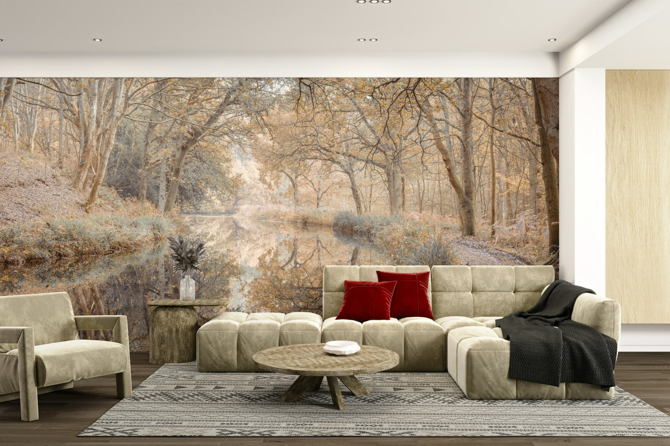 Autumn Canal wall mural with fall trees

