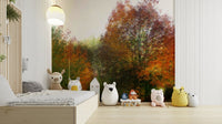 A photo-realistic wall mural of a dense forest with colorful autumn foliage.

