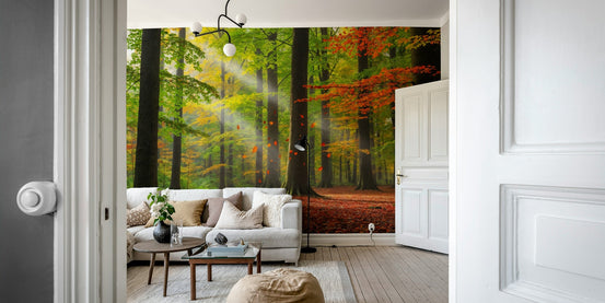 A peaceful wall mural with a charming autumn forest scene. GD4192

