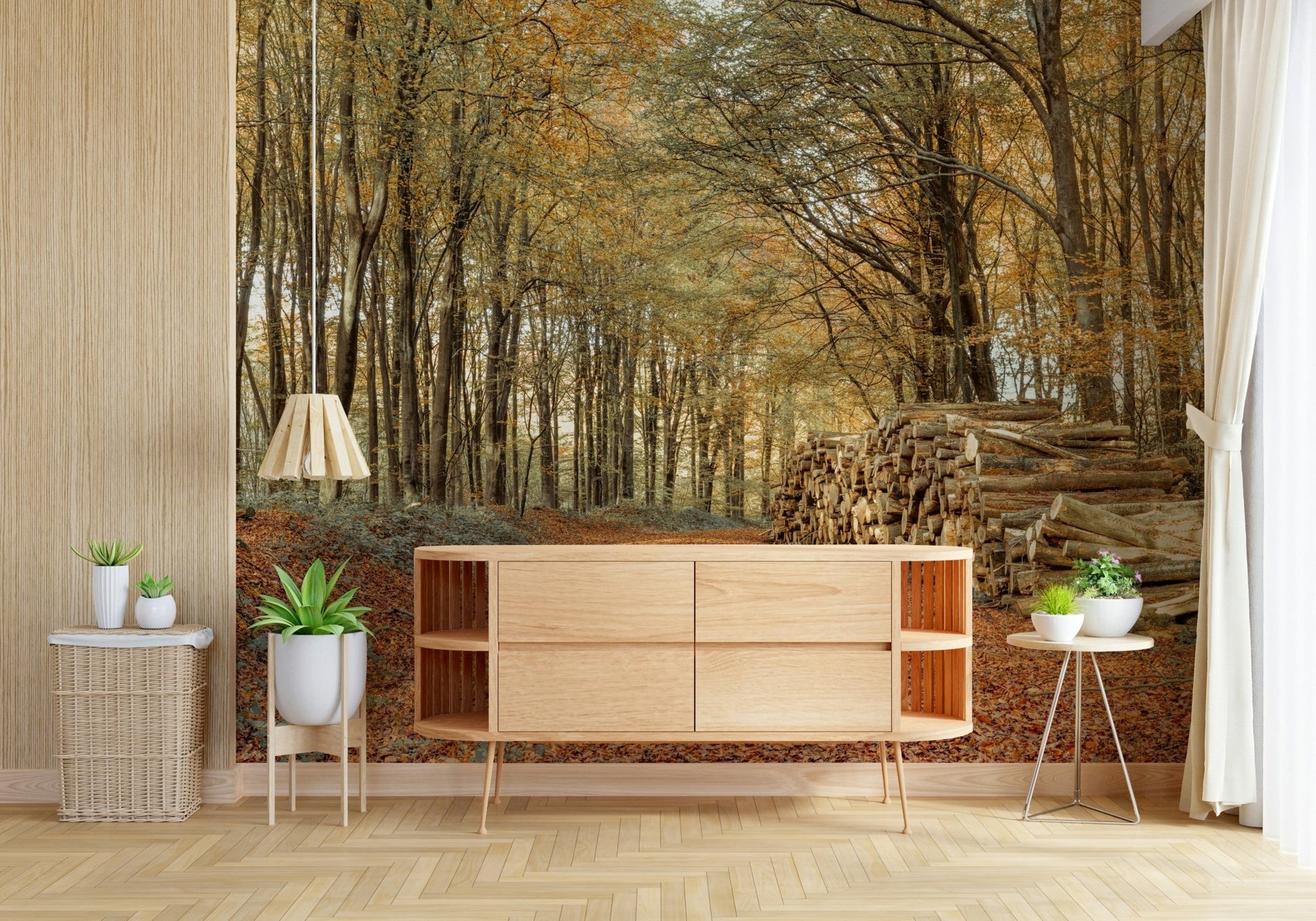 Leaf covered Autumn Forest Scene Wall Mural trail graphic.