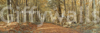 Seasonal home Autumn Forest Scene Wall Mural design visual.