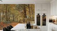 Tall trees Autumn Forest Scene Wall Mural with yellow leaves.