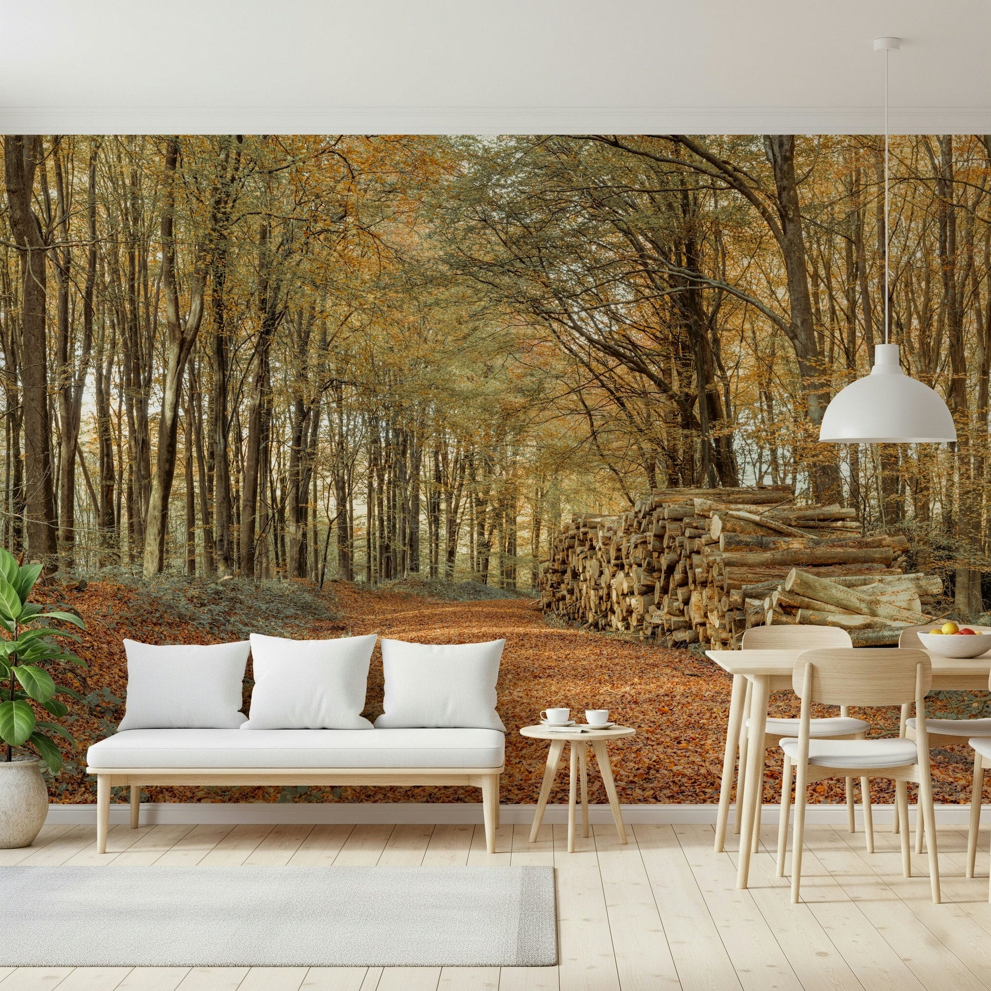Quiet forest Autumn Forest Scene Wall Mural wide photo.