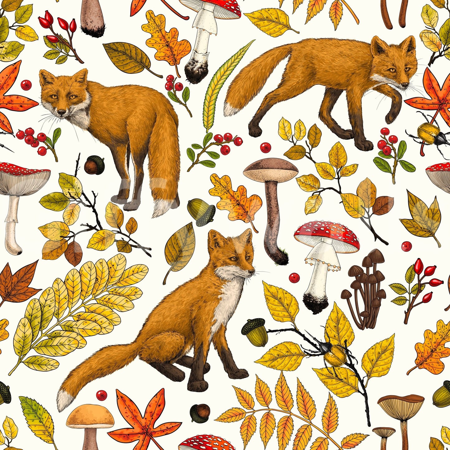 A high-quality serene fox wall mural for walls., GD5631