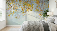 Autumn Hues Woodland birch tree canopy wallpaper design.