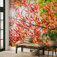 Autumn Leaves Wall Mural