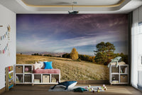 The mural covers a significant wall area, creating an expansive view.
