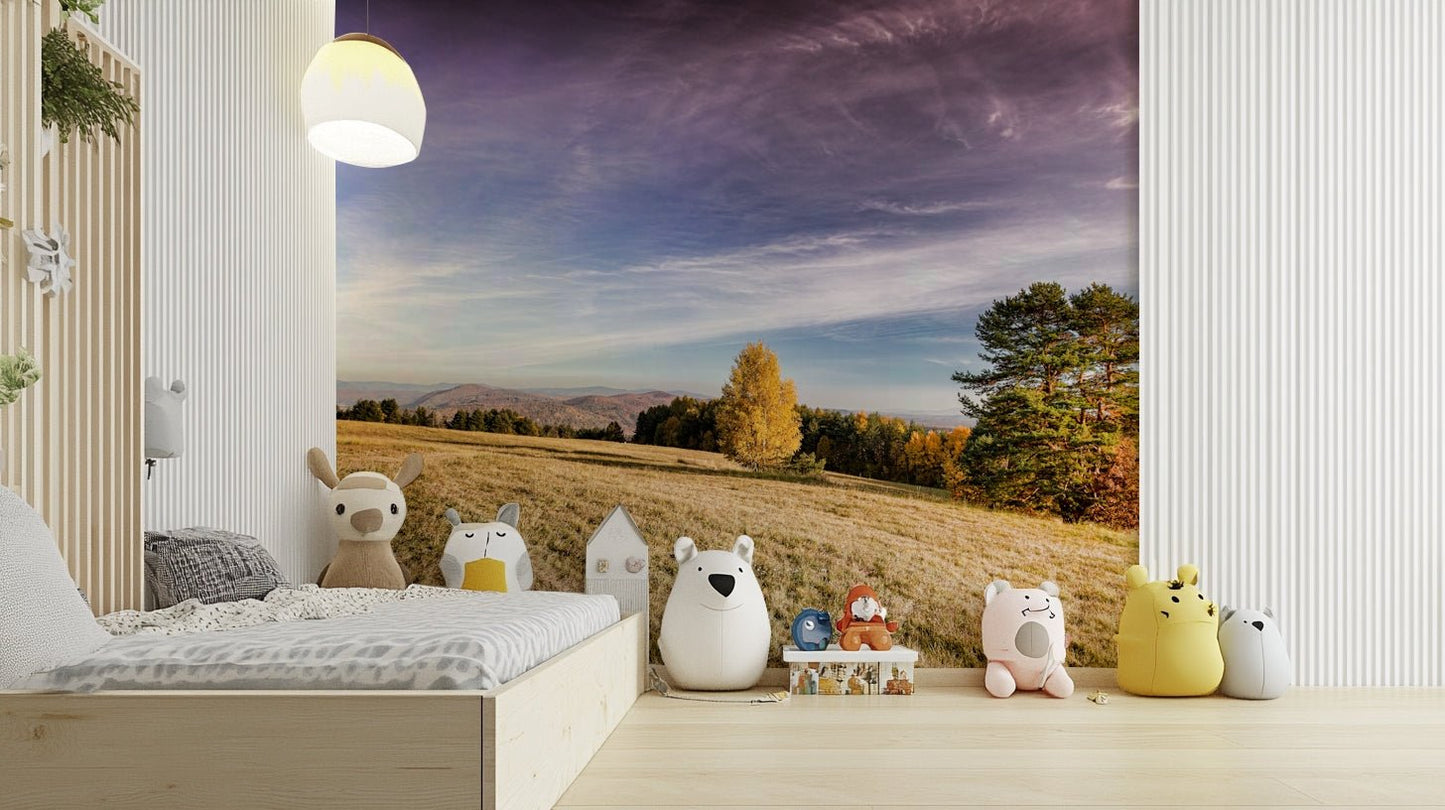 It gives a feeling of calm comfort and inviting natural beauty.
