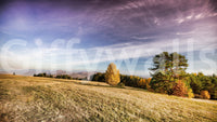 Captures the essence of a peaceful autumn meadow.
