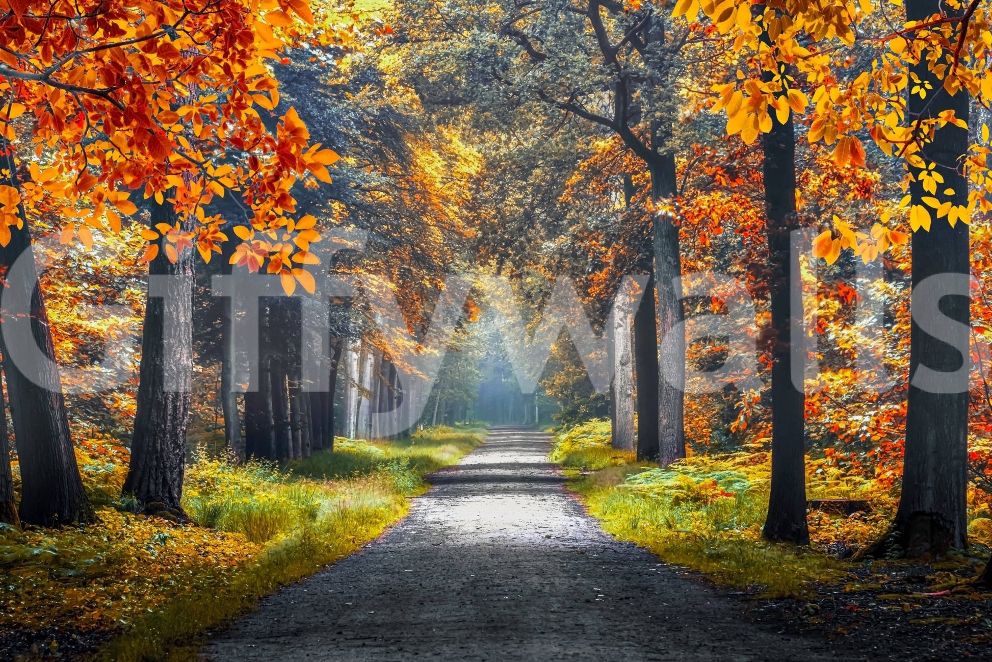 Autumn Path wall mural with golden forest leaves and a calm tree-lined walkway