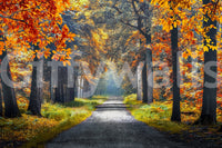 Autumn Path wall mural with golden forest leaves and a calm tree-lined walkway