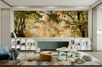 Features a pathway or trail winding through a forest or wooded area during autumn.
