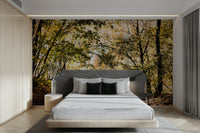 It gives a feeling of calm comfort and inviting natural beauty, suggesting a walk in nature.
