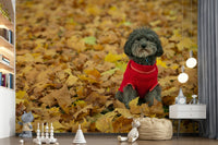 Sweet dog in autumn Autumn Pup Wall Mural, unique wallcovering.