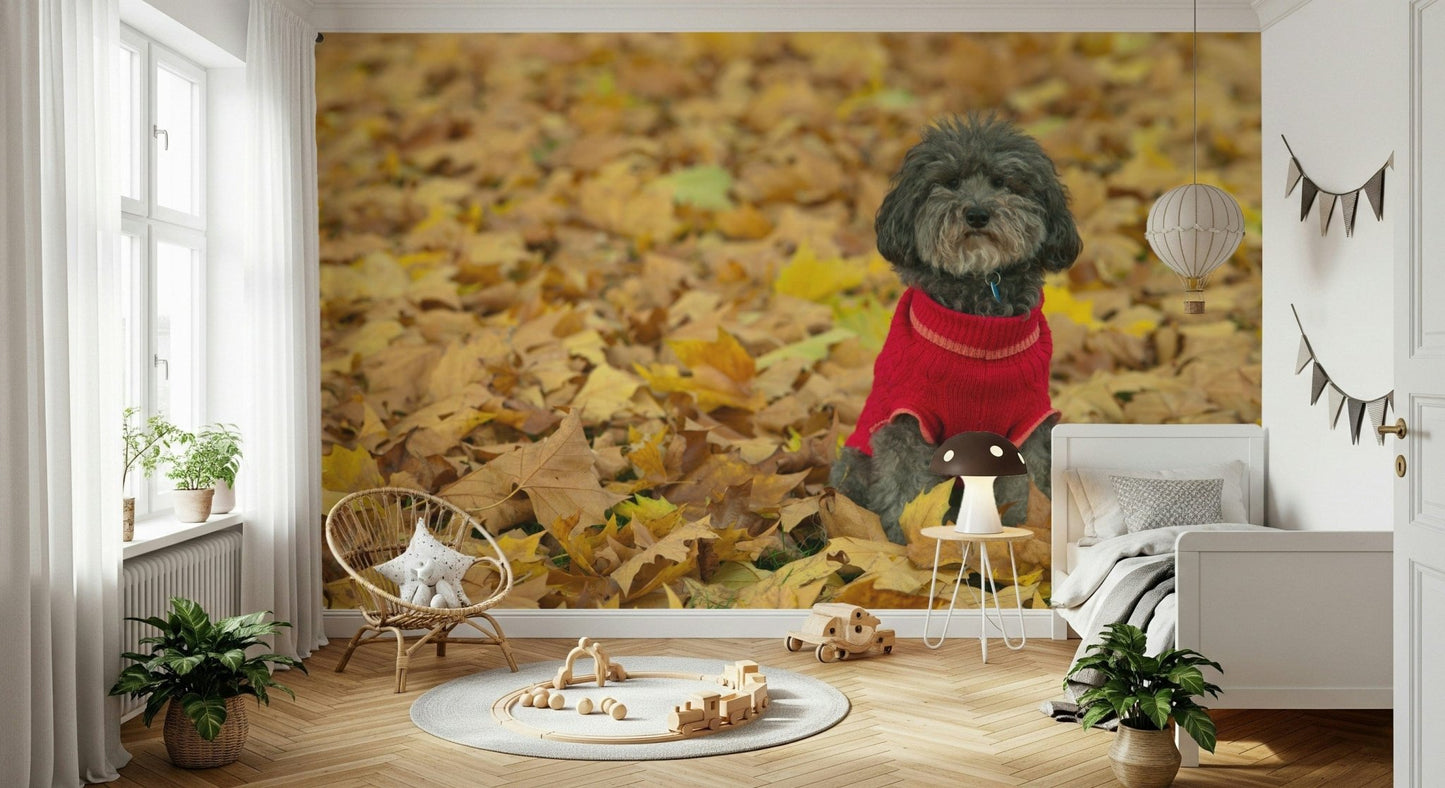 Warm autumn vibe Autumn Pup gorgeous large-format wallpaper.