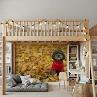 Shaggy black dog Autumn Pup Wall Mural, striking pet mural.