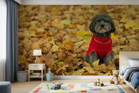 Red sweater puppy Autumn Pup peel and stick wallpaper.