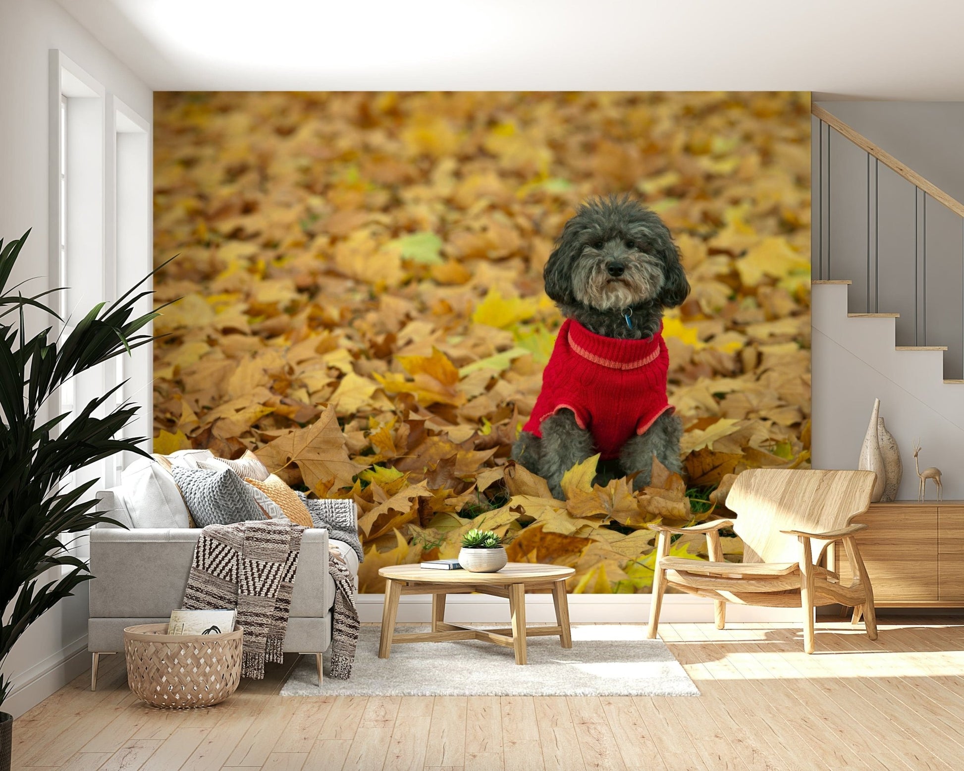 Autumn Pup Wall Mural, cute dog in red sweater on fall leaves.