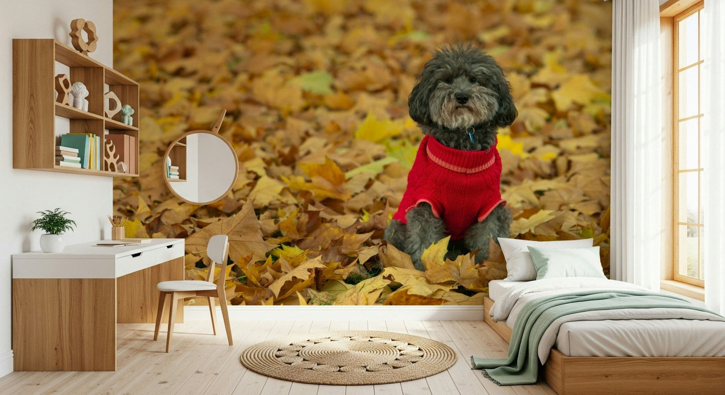 Cozy dog sweater Autumn Pup Wall Mural, premium quality wallcovering.