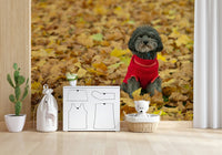 Happy little dog Autumn Pup for playful interiors.