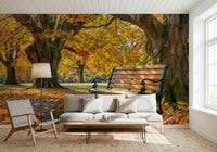 Autumn Serenity wallpaper with golden trees in a modern office.