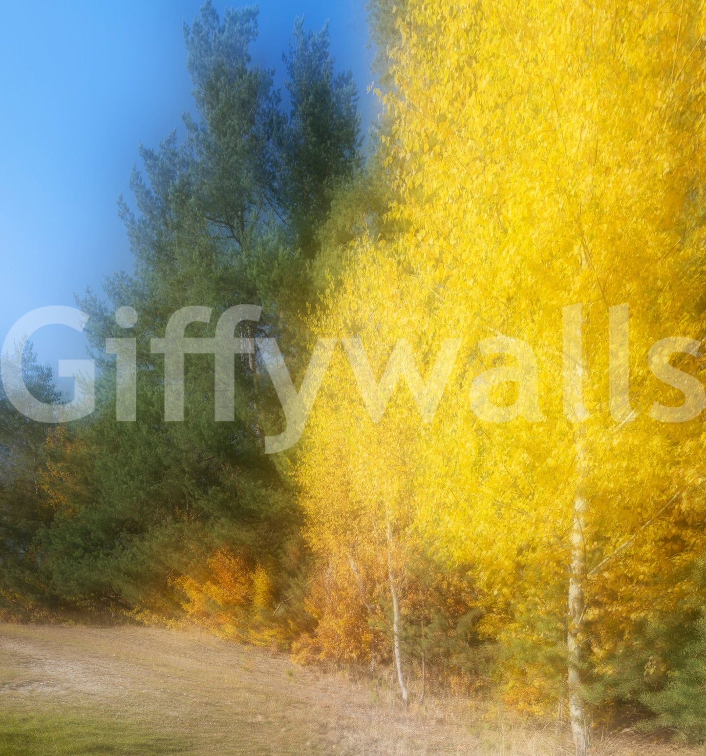 Captures the essence of an autumn landscape in gentle, dreamlike motion.
