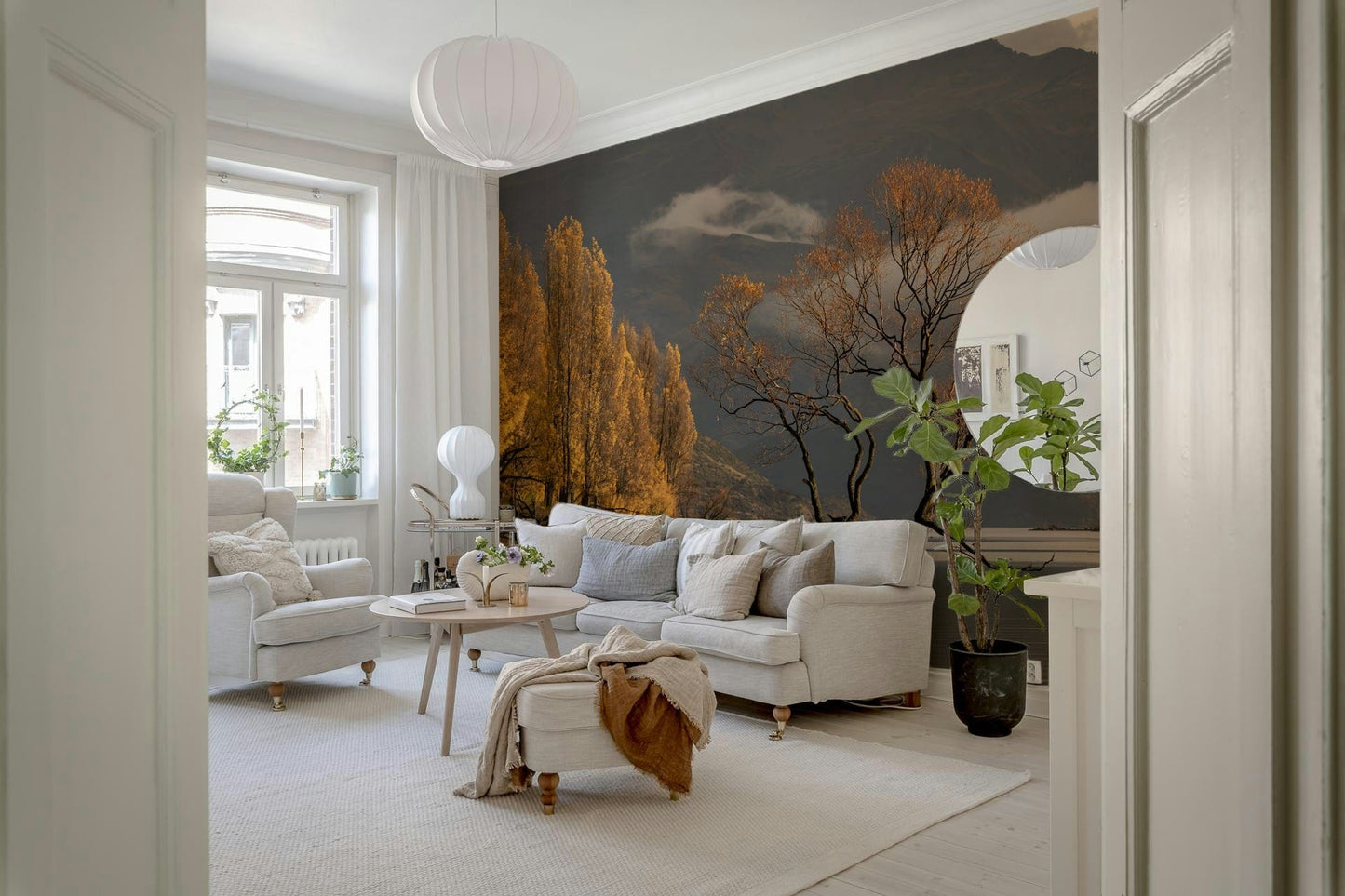 Golden poplar grove reflections Autumn Woodland Dawn Mirror scenic wallpaper.