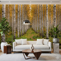 Office room with Autumnal Birch Haven wall mural birches, GD9134